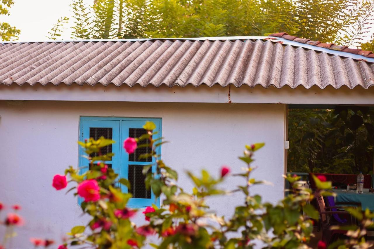 Tehan Homestay Диквелла Экстерьер фото