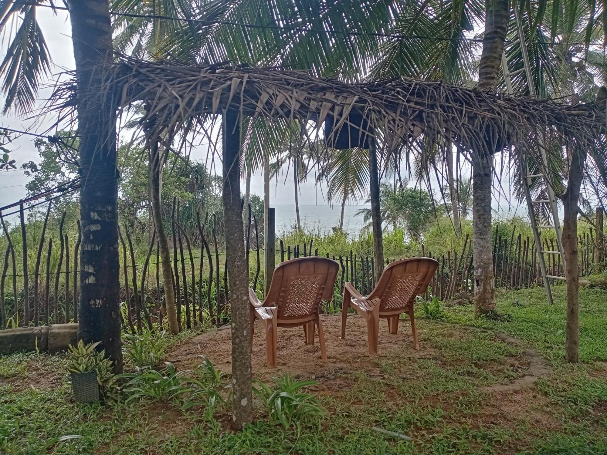 Tehan Homestay Диквелла Экстерьер фото